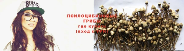 дурь Нефтегорск