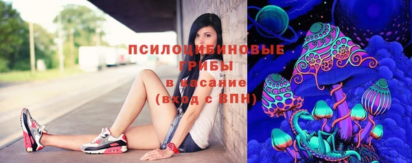 мяу мяу мука Нефтекумск